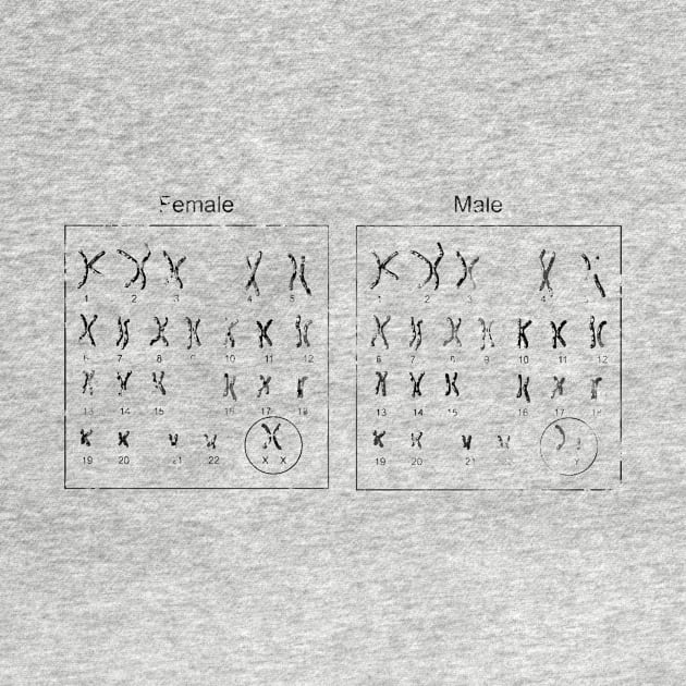 Female and male Chromosome idiogram by erzebeth